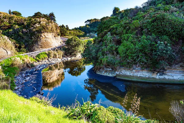 Yeni Zelanda Nın Muhteşem Doğası Kuzey Taranaki Nin Pasifik Kıyısındaki — Stok fotoğraf