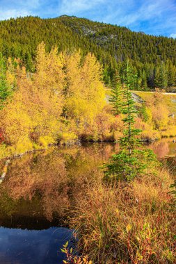 Kanada mı? Rocky Dağları 'nda Kızılderili yazı. Vermillon Gölü 'nün yumuşak suyu bulutları yansıtır. Evergreen ladin ağaçları dağ yamaçlarında yetişir. Sonbahar ormanının sarı yaprakları. 