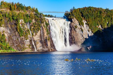 Montmorency 'nin ünlü ve güçlü şelalesi. Quebec 'in antik pitoresk şehrinin çevresi. Ringa martı sürüsü gölün mavi suyunda dinleniyor. Kanada 'ya seyahat. 