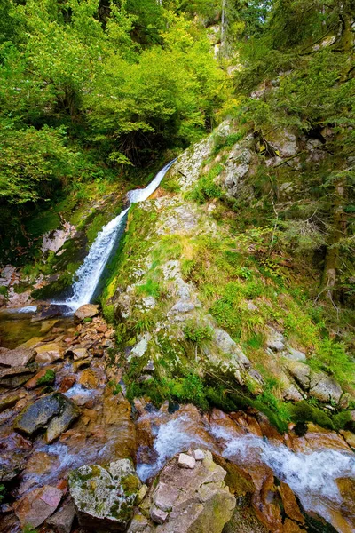 Cascading Highest Waterfall Allerheiligen Travel Fabulous Country Schwarzwald Autumn Cloudy — 图库照片