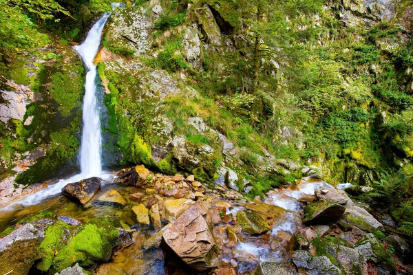 Cascading Highest Waterfall Allerheiligen Travel Fabulous Country Schwarzwald Autumn Cloudy — 图库照片