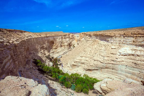 Magnificent Gorge Ein Avdat Most Beautiful Negev Desert Israel Picturesque — Photo