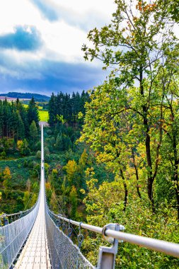 Almanya 'da asma köprü. Rhineland-Palatinate 'deki Hunsrck bölgesi. Mersdorf deresi vadisinde resim gibi bir köprü. Rüzgarlı ve soğuk bir sonbahar günü