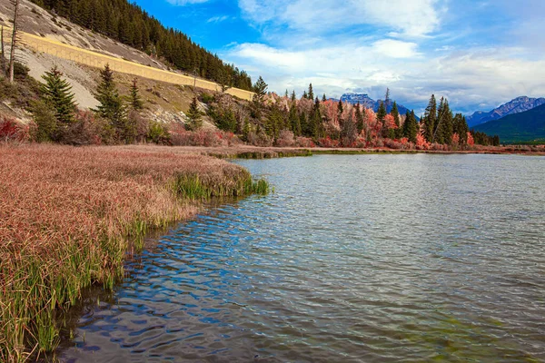 The Rocky Mountains of Canada. Indian summer in the Rocky Mountains. Evergreen huge forests in the Rocky Mountains. The cold water of Lake Vermillon