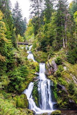 Picturesque Black Forest. Triberg, the most beautiful non-alpine waterfall in Germany. Walkways with railings for the safety of tourists. Germany foggy autumn. 