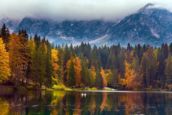 Los Dolomitas Están Cubiertos Nubes Los Árboles Anaranjados Amarillos Reflejan — Foto de Stock