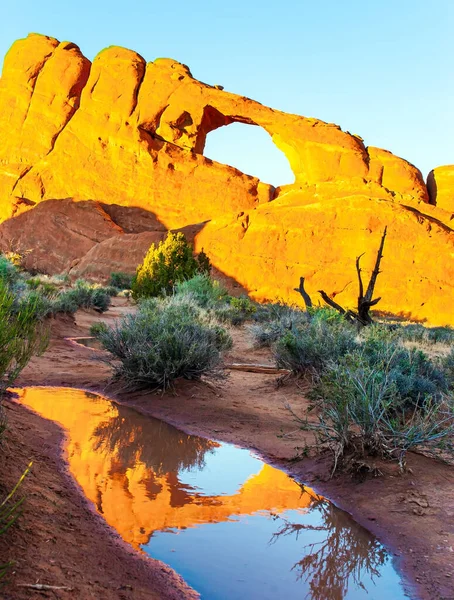 Skyline Arch Red Rock Blue Sky Picturesquely Reflected Puddle Usa — Stock Photo, Image