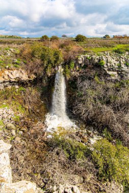 Powerful multi-water waterfall Bazelet. North of the country. Early spring in Israel. 