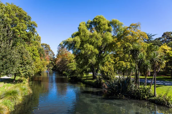 Rather river flows through the park. The concept of ecological and photo tourism. Christchurch Scenic Botanical Garden. Indian summer in New Zealand. Travel to South Island