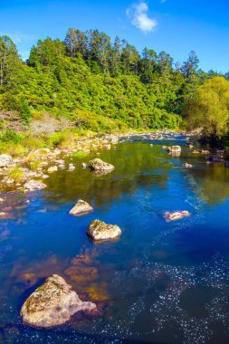  Shallow river with a rocky bed. Karangahake Gorge. The sky is reflected in the water. The river among abandoned gold mines. Travel to New Zealand. The concept of exotic and photo tourism