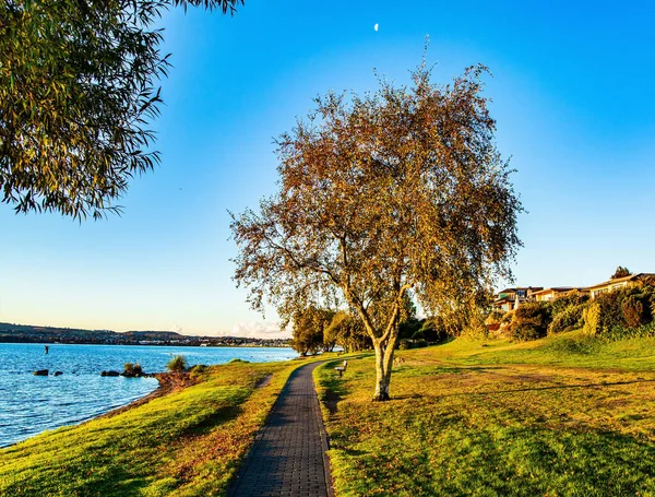  Magnificent sunset. Taupo is the largest lake in New Zealand, North Island. The most popular holiday destinations for tourists. Quiet evening on the lake. Nice walk by the lake 