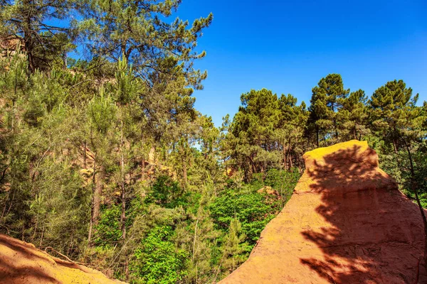 Walk Most Beautiful Red Yellow Orange Route Rocks Covered Forest — Stockfoto