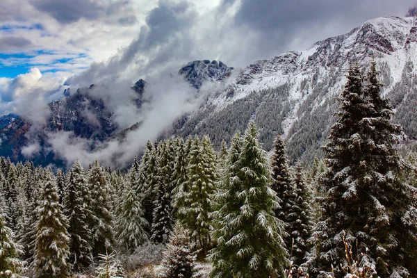 Italy Famous Picturesque Pass Dolomites Passo Rolle First Snow Mountain — Stock Photo, Image