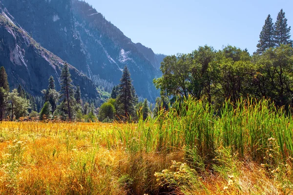 Vale Yosemite Outono Relva Amarelada Nos Prados Vale Yosemite Park — Fotografia de Stock