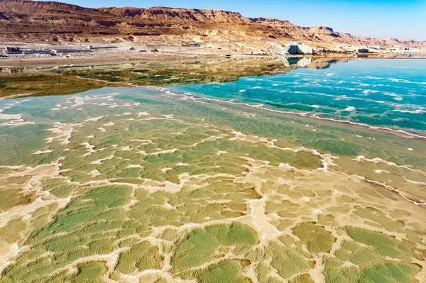 Dead Sea Evaporated Salt Forms Bizarre Patterns Water Green Water — Stok fotoğraf