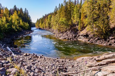 Stormy mountain river foams on the riffles. The Caribou Mountains. Wells Gray is a park in the Rocky Mountains of Canada. 