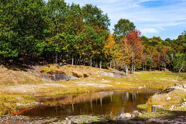 Omega Park is a natural eco-park. Journey to beautiful Canada. Great wildlife park. Province of Quebec. Lush multicolor northern autumn. Small lake at the edge of the forest