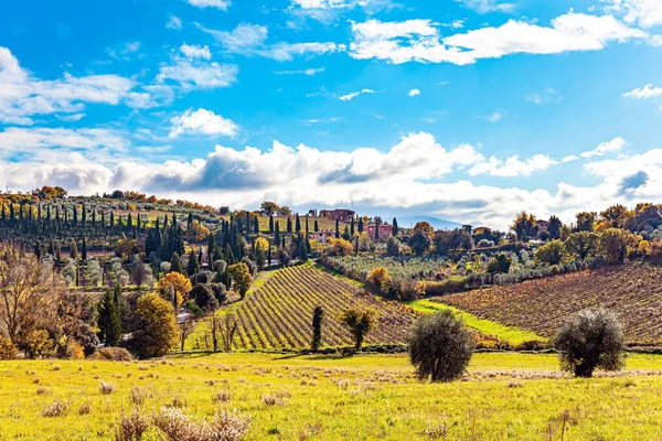 Wonderful sunny day in late autumn. Trip to a magical land was a success! Picturesque hills, gardens and vineyards of Tuscany. Italy. Slender cypress trees frame the roads.