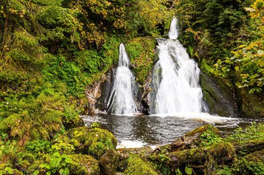 Magnificent high cascading waterfall Triberg. Picturesque Black Forest. Germany foggy autumn. Journey to the World of Water. 