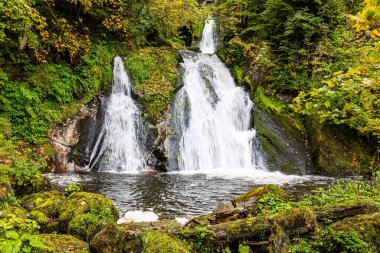 The powerful jets of the waterfall thunder and rumble. Magnificent high cascading waterfall Triberg. Picturesque Black Forest. Germany. Journey to the World of Water. 