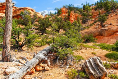  Red-brown canyons and outliers are composed of soft sedimentary rocks. USA. The most popular trails in Red Canyon. Red Canyon Arches trail in Losee Canyon.