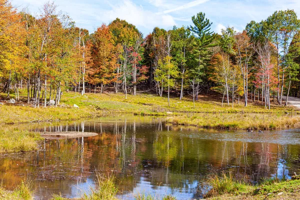 Omega Park is a natural eco-park among fields, meadows, forests, slopes and valleys. Journey to beautiful Canada. Lush multicolor northern autumn. Small lake at the edge of the forest