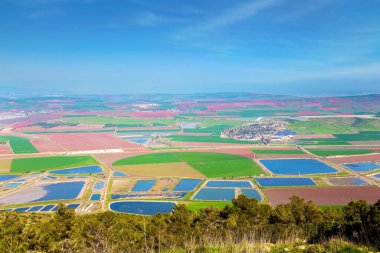 Aşağı Celile 'deki Jezreel Vadisi, İsrail. İsrail 'de sıcak kış. Resimli tarımsal alanlar tüm vadiyi kaplıyor.