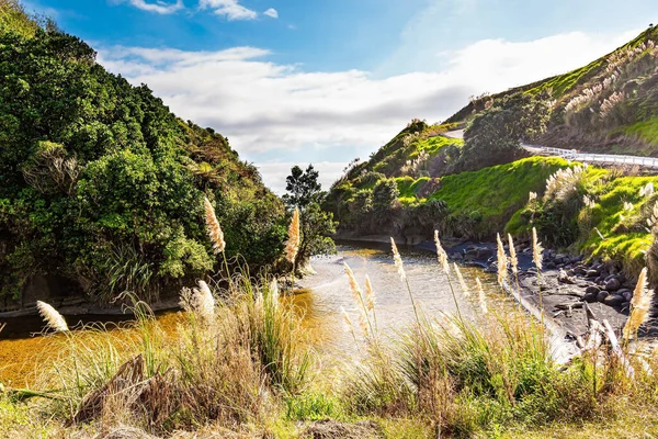 Pintoresco Arroyo Vaipingau Refleja Colinas Cañas Altas Agua Magnífica Naturaleza — Foto de Stock