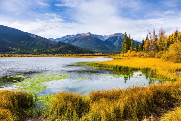 黄色の秋の草や白樺の葉の間に朱色の湖 カナダのロッキー山脈の壮大な風景 秋への旅行 生態観光と写真観光の概念 — ストック写真