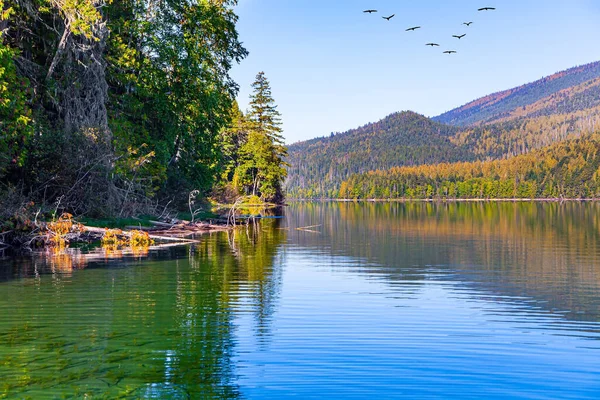 ウェルズ グレイはカナダのロッキー山脈の公園である 湖は青い空を反映している 渡り鳥の群れが青空を飛んでいます 薄い波紋で覆われた湖の水 — ストック写真