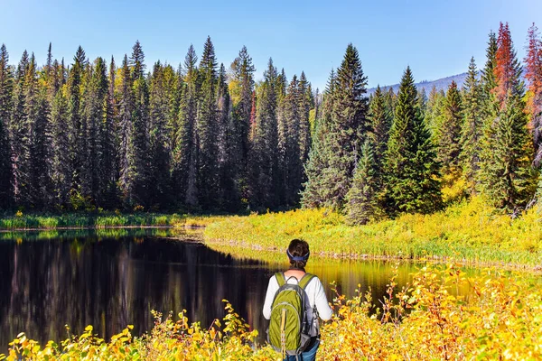 バックパックを持つ女性は 湖の海岸に立っている カナダのロッキー山脈の公園ウェルズ グレイ 湖の滑らかな表面は青空を反映しています — ストック写真