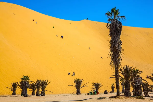 Namibian Korkea Hiekkadyyni Turistit Yrittävät Ratsastaa Hiekkaisella Rinteellä Erityisillä Matoilla — kuvapankkivalokuva