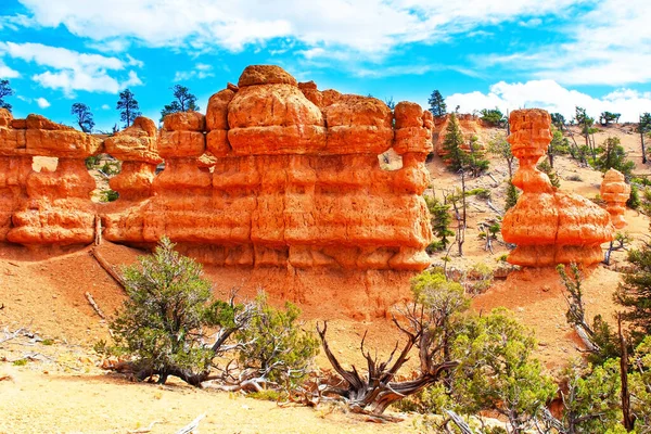 Trilhas Mais Populares Red Canyon Eua Red Canyon Arches Trilha — Fotografia de Stock