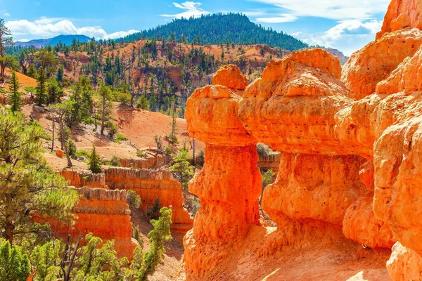 Natursköna Platser Amerika Solig Dag Usa Populäraste Lederna Red Canyon — Stockfoto