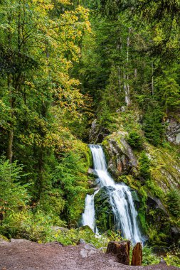 Triberg, Almanya 'daki en güzel Alp Şelalesi olmayan şelale. Almanya 'nın sisli sonbaharı. Su Dünyası 'na yolculuk. Yeşil yosunlarla kaplanmış dev kayalar. Resimli Kara Orman