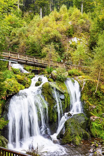 Pittoresca Foresta Nera Passerelle Con Ringhiere Sicurezza Dei Turisti Triberg — Foto Stock