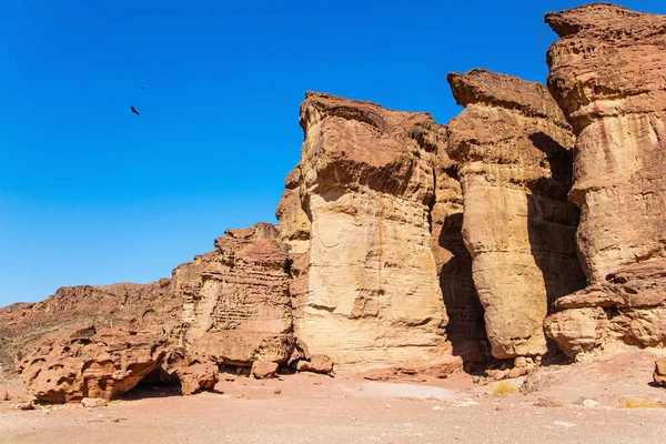ティムナ公園のソロモン柱 イスラエルだ 11月の暑い日 アラバ砂漠の南にあるティムナ渓谷は エイラートのリゾート地の近くにあります 壮大な砂岩の岩 — ストック写真
