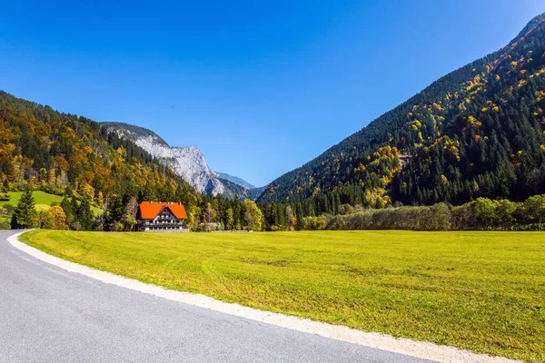 Logarska Vadisi Slovenya Asfalt Yolu Sarı Yeşil Turuncu Kırmızı Sonbahar — Stok fotoğraf