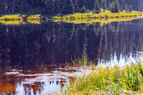 Wells Gray Parque Colúmbia Britânica Nas Montanhas Rochosas Superfície Lisa — Fotografia de Stock