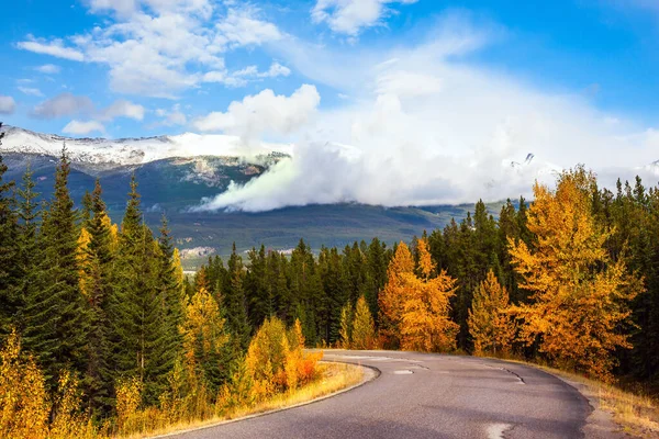加拿大落基山脉 雄伟的山路夹在针叶林和橘红色秋天的白杨树之间 印度夏天在贾斯珀公园 伊迪丝卡维尔山路 — 图库照片
