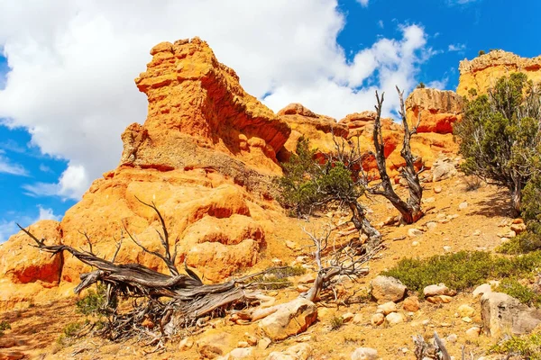Red Canyon Arches Losee Canyon Kouzelná Krajina Západně Usa Červenohnědé — Stock fotografie