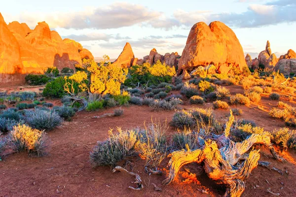 アメリカのアーチ公園の美しさ 絵のような赤褐色の砂岩の崖が独特の景観を形成している 花崗岩の岩石組成 自然起源 — ストック写真