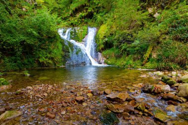 Almanya. Resimli yüksek su çağlayan şelale Allerheilijeni. Sonbahar bulutlu bir gün. Kara Orman / Schwarzwald / - Avrupa 'nın merkezindeki ünlü orman. 