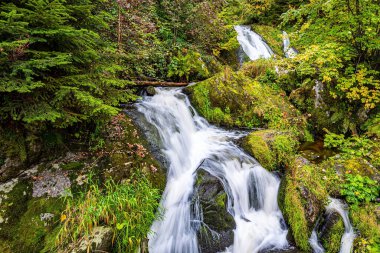 Magnificent high cascading waterfall Triberg. The powerful jets of the waterfall thunder and rumble. Picturesque Black Forest. Germany. Journey to the World of Water. 