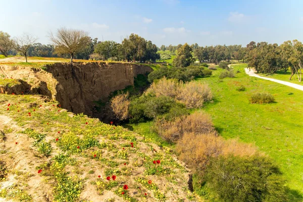 Kibbutz Beeri Sur Del País Camino Tierra Escénico Corre Través —  Fotos de Stock