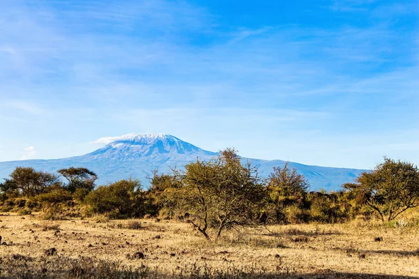 Increíble Parque Amboseli Viajar África Exótica Famoso Monte Kilimanjaro Cubierto — Foto de Stock