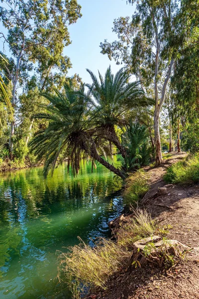 以色列 约旦河是世界上最有名的河流 约旦是基督受洗的地方 温暖的冬日阳光明媚 沿河散步真好 — 图库照片