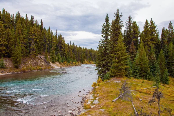 Provinsen Alberta Höstens Resa Till Kanada Sjunkande Fjällälv Barrskogen Molnig — Stockfoto