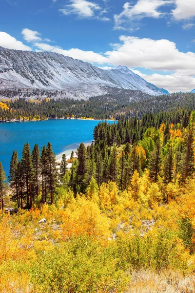 オレンジ 赤の葉の白樺やアスペン 青い湖の水 絵のように美しい山々 ロッククリーク道路湖 モンタナ州の緑豊かな秋 — ストック写真