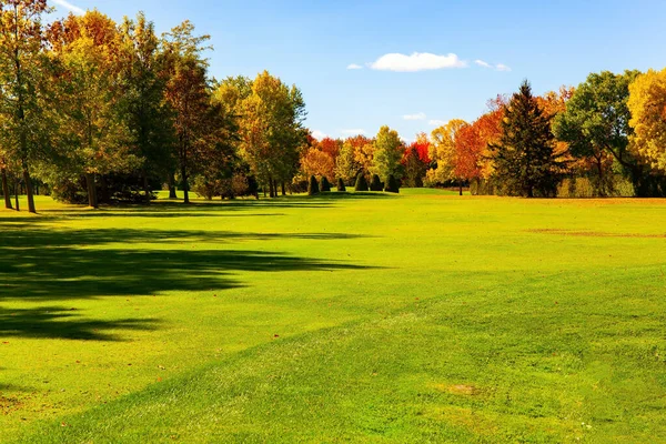 Gorgeous Green Mowed Lawn Bright Landscape Trees Green Yellow Orange — Stock Photo, Image